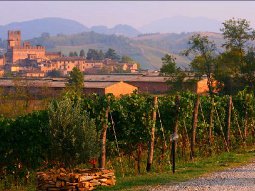 Cantina Cardinali a Castell'Arquato