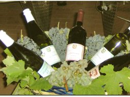 Cantina Loschi a Castell'Arquato